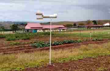  Pesquisadores do Paraná usam Inteligência Artificial para combate da ferrugem da soja